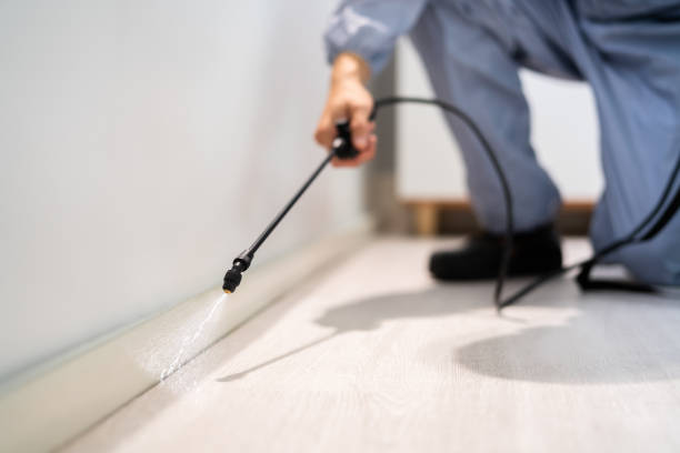 Bed Bug Pre-Treatment Preparation Assessment in Cordaville