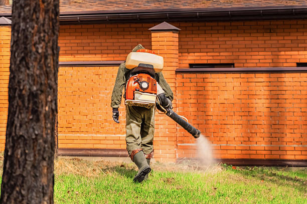 Bed Bug Clearance Verification and Documentation in Cordaville